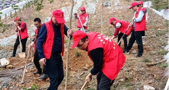 村企共建，共植先锋林