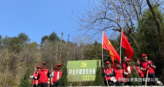 党建强引领，共植先锋林